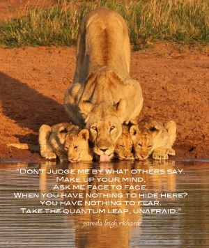 Lion And Lioness Love Quotes Lioness with cups at water Lioness And Cubs, Regnul Animal, Wild Animals Pictures, Cheetahs, Hyena, Wild Things, A Lion, Amazing Animals, Animal Planet