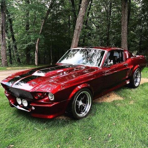 Auto Jeep, Shelby Mustang Gt500, Shelby Gt 500, Gt 500, Vintage Jeep, Mustang Gt500, Shelby Mustang, Auto Retro, Shelby Gt