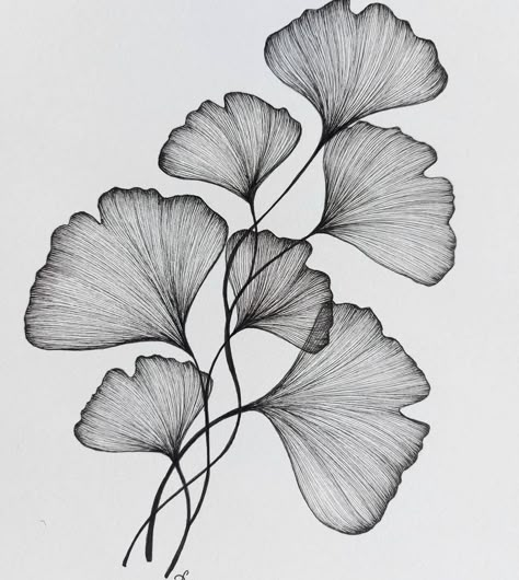 Ginkgo Tattoo, Leaves Sketch, Pen Art Drawings, Drawing Examples, Black And White Art Drawing, Flower Art Drawing, Flower Sketches, Leaf Drawing, Japanese Tattoo Art