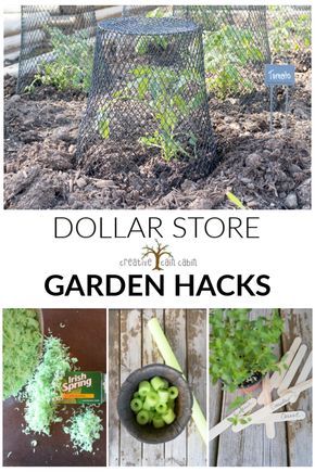 Aesthetic Gardening, Diy Container Gardening, Gardening Aesthetic, Garden Hacks, Strawberry Garden, Gardening Hacks, Garden Wallpaper, Gardening Outfit, Home Vegetable Garden