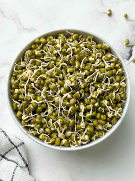 sprouted moong beans in a bowl Juice Business Ideas, How To Sprout Beans, Sprouted Beans, Curry Leaf Plant, Microgreens Recipe, Juice Business, Types Of Beans, Indian Diet, Veggie Delight