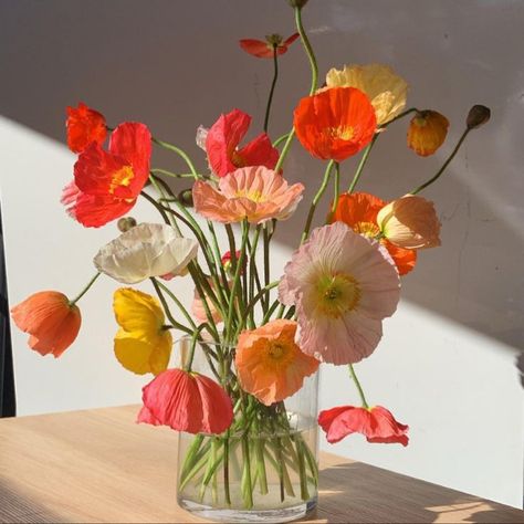 Poppy Flower Decor, Flowers Bouquet Vase, Poppy Flower Wedding Bouquet, Simple Summer Flower Arrangements, Small Spring Flower Arrangements, Spring Bouquet In Vase, Poppies Arrangement, Minimal Flower Arrangements, Poppy Flower Aesthetic