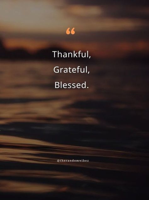 Blessed Morning Quotes Be Grateful, Grateful Happy Quotes, New Blessings Quotes Life, Blessing From God, Thank You For My Blessings Quotes, Booked Busy Blessed Quotes, Counting Quotes, Thankful Blessed Quotes, Blessed With Best Quotes