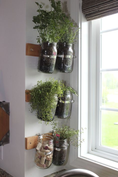 Window Spice Garden, Indoor Herb Planters Kitchens, Herb Kitchen Ideas, Window Herbs Indoor, Window Herb Shelf, Kitchen Window Hanging Decor, Planted In The Kitchen, Herb Shelf Kitchen Window, Kitchen Plant Shelf Decorating Ideas