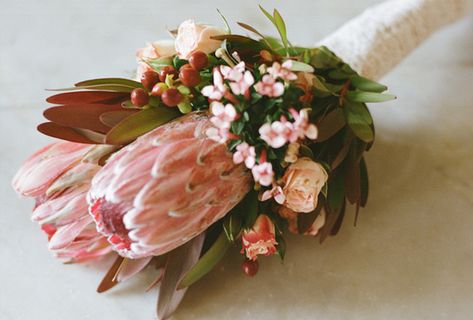 Who doesn't love proteas?!? Protea Buttonhole Grooms, Protea Boutonniere, Restaurant Elopement, Protea Bouquet Wedding, Intimate Restaurant, Pink Protea, Protea Wedding, Protea Bouquet, Gorgeous Bouquet