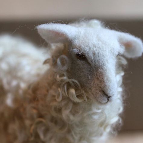 Heather Burke on Instagram: “Just listed this needle felted sheep on my website. Link in profile. 🐑  I don’t have time for a shop update for the holidays (more on why…” Felted Sheep, Felted Animals, Wool Projects, Alpaca Fiber, Thread Painting, Needle Felted Animals, Wet Felting, Felt Art, Felt Animals