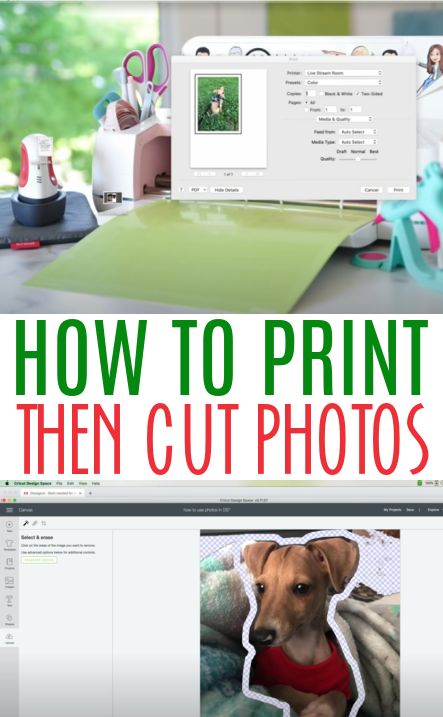 Sticker For Cricut Machine, Cricut Print And Cut Iron On, How To Print Then Cut On Cricut, How To Print And Cut On Cricut, Cricut Photo Projects, Cricut Hoodies, Print Then Cut Cricut, Printable Iron On Vinyl, Print And Cut Cricut