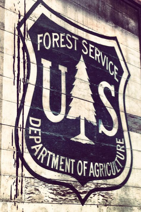 Us forest service Woodland Crafts, Wildland Firefighting, Truck Lettering, Lumber Jack, Firefighter Pictures, Us Forest Service, Smokey The Bear, Wildland Fire, Forest Ranger