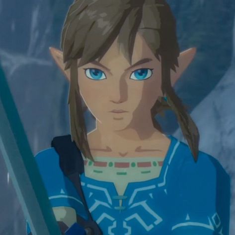 Link Zelda Reference, Link Pfp Breath Of The Wild, Loz Breath Of The Wild, The Legend Of Zelda Characters, Link Legend Of Zelda Breath Of The Wild, The Legend Of Zelda Pfp, Botw Link Pfp, Link Profile Picture, Link Zelda Breath Of The Wild