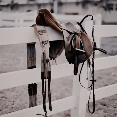 Equestrian Photography, Equestrian Aesthetic, Equestrian Helmet, Horse Gear, Horse Aesthetic, English Riding, Equestrian Lifestyle, Horse Blankets, Horse Equestrian