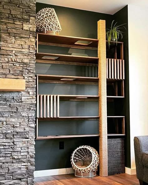 Cat Climbing Bookshelf, Cat Wall Bookshelves, Under Bed Cat Maze, Cat Wall Shelves Decor, Cat Garage Ideas, Cat Climbing Wall Aesthetic, Cat Climbing Wall Diy Ideas, Cat Bookshelf Diy, Cat Hallway Ideas