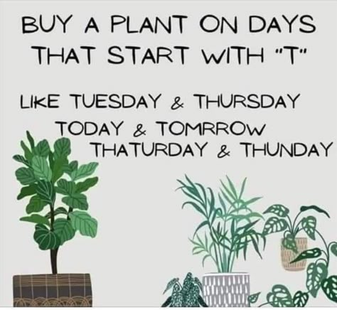 Plant Jokes, Gardening Memes, Plant Quotes, Garden Center Displays, Plant Goals, Gardening Quotes, Gardening Humor, Plants Quotes, Plant Mama