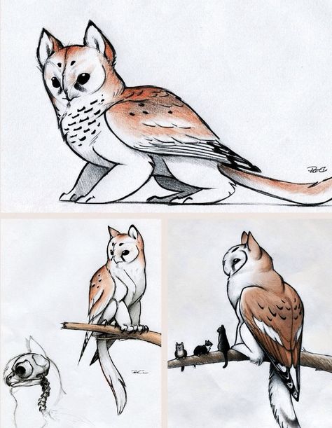 Owl griffin, they are so cute!!! Edited by Kira Claypoole--example for contest Dnd Creature Art, Creature Drawing Reference, Original Species Humanoid, Cute Creature Concept Art, Owl Griffin, Animal Combinations, Hybrid Drawing, Mechanical Creatures, Fantasy Pets