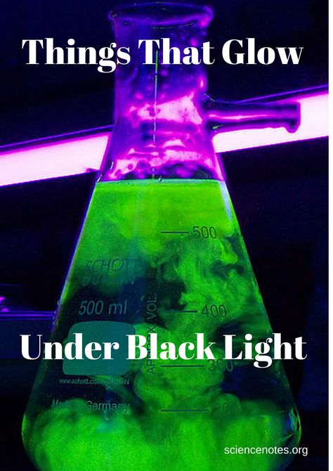 30+ Things That Glow Under Black Light Glow Party Outfit, Blacklight Halloween, Diy Black Light, Black Light Room, Neon Party Outfits, Glow Party Decorations, Glow Party Ideas, Things That Glow, Glow Dance