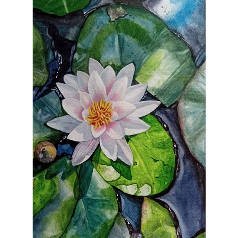 #art #realism #painting #watercolor #waterlily #leaves #realistic #artoftheday #pond #nature #beauty Waterlily Watercolor Painting, Waterlily Painting Acrylic, Realistic Watercolor Paintings Nature, Waterlily Painting, Painting Decor Ideas, Pond Drawing, Bild Gold, Lilly Pond, Water Lilies Painting