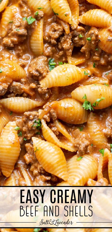 closeup of pasta with text overlay that reads easy creamy beef and shells Easy Sunday Night Dinner, Sunday Night Dinner Ideas, Pasta Recipes With Ground Beef, Creamy Beef And Shells, Beef And Shells, Beef And Pasta, Savory Cheesecake, Ground Beef Pasta Recipes, Shell Pasta Recipes