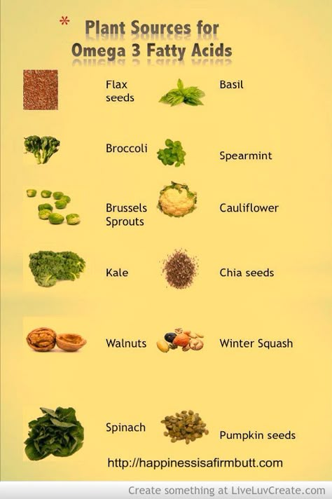 Omega 3 Foods, Basil Seeds, Vegan Nutrition, Lower Cholesterol, Food Facts, Base Foods, Flax Seed, Meals For One, Plant Based Diet