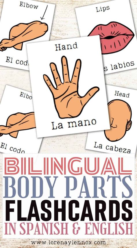 Printable Spanish Flashcards, Spanish Flashcards Printable Free, Body Parts Flashcards, Spanish Flash Cards, Body Parts In Spanish, Preschool Spanish Lessons, Spanish Flashcards, Spanish Printables, Preschool Spanish