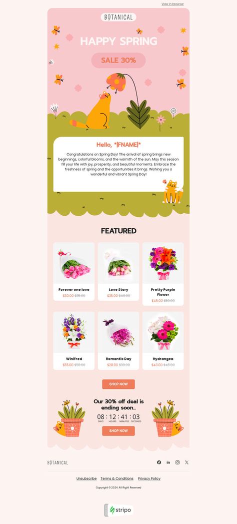 Spring email template "Spring flowers" for gifts & flowers industry. Create eye-catching templates that leave a lasting impact.🌠🌟 Follow us on Pinterest for design and marketing hacks! 📈💌 #spring #stripoemail #emailtips #emailnewsletter #emailtemplate #emaildesign #emailmarketing #emaildesignlayout Email Marketing Layout, Newsletter Ideas, Marketing Hacks, Email Newsletter Design, Community Garden, Email Template, Newsletter Design, Flowers Spring, Email Design