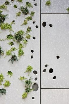 Green Facade, Living Walls, Deco Nature, Extension Designs, Plants Growing, Perforated Metal, Green Architecture, Vertical Gardens, Green Walls