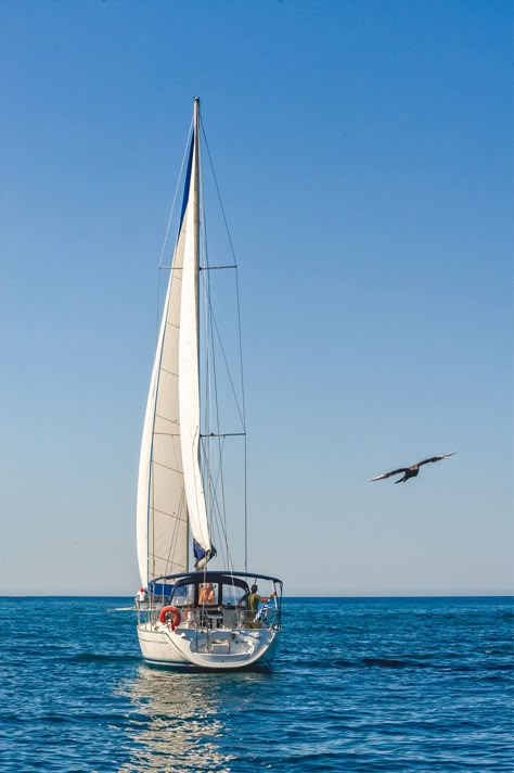 Go sailing. Check! Day Sailing Boats, Sailboat Photography Ocean, Sailboat On Water, Sky Sailing, Sailboat Photography, Sailing Photography, Sailing Videos, Sailing Day, Sailboat Painting