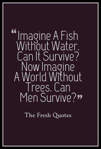 72 Environment Quotes & Slogans - Save our Beautiful Earth | Environment quotes, Environment day quotes, Earth quotes Tree Quotes Nature, Slogan On Save Environment, Save Nature Quotes, Quotes Environment, Save Environment Posters, Environment Day Quotes, Earth Day Slogans, Nature Quotes Trees, Green Posters