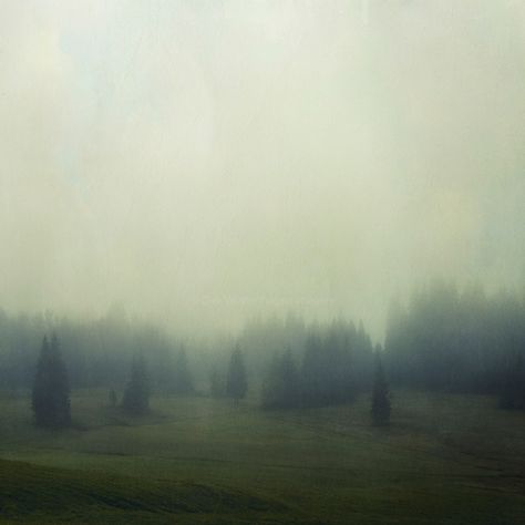 Trees In Fog, Apocalypse Landscape, Foggy Landscape, Fog Photography, Foggy Weather, Foggy Forest, Mystical Forest, Misty Forest, Halloween Painting