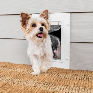 PETSAFE Extreme Weather Energy Efficient Pet Door, Small - Chewy.com Best Dog Door, Royal Canin Cat Food, Modern Farmhouse Remodel, Royal Canin Dog Food, Diy Cat Enclosure, Enclosed Litter Box, Purina Dog Food, Cat Doors, Best Puppy Food