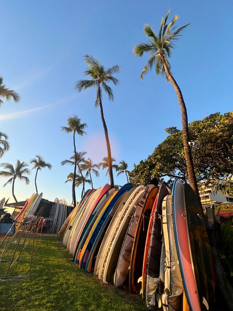 aesthetic surfboard photo in big island of hawaii Big Island Aesthetic, Hawaii Maui Aesthetic, Big Island Hawaii Aesthetic, Hawaii Life Aesthetic, Hawaii Astethic, Living In Hawaii Aesthetic, Aesthetic Surfboard, Island Life Aesthetic, Aesthetic Hawaii