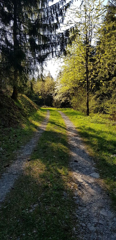 Hintergrund fürs handy. #Wald #summer #feeling good #nature Summer Feeling, Feeling Good, Country Roads, Road, Quick Saves, Pins, Nature