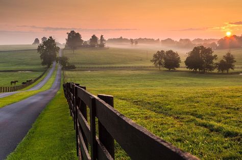 ***Rural sunset (Kentucky) by Rick Scalf Future Farms, Dream Barn, Kentucky Home, Horse Farm, Country Landscaping, Country Scenes, Tim Mcgraw, Back Road, Horse Barns