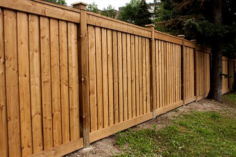 Board On Board Fence, Wood Fence Ideas, Diy Backyard Fence, Wood Fencing, Privacy Fence Ideas, Wood Fence Design, Wood Privacy Fence, Fence Options, House Fence