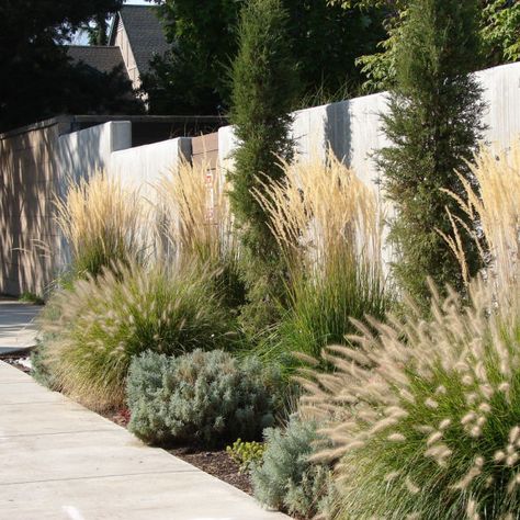 Simple Fence, Creative Fence, Landscaping Along Fence, Privacy Plants, Privacy Landscaping, Innovative Materials, Fountain Grass, Grasses Landscaping, Front Landscaping