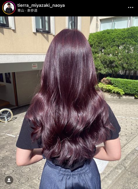 Wine Purple Hair Color, Hair Color Plum Brown, Dark Purple Undertone Hair, Dark Cherry Plum Hair, Purple Tinted Hair Brown, Red Purple Brown Hair, Brown Plum Hair, Berry Purple Hair, Raspberry Brown Hair