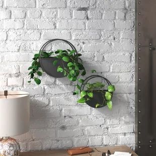 Wayfair | Wall Mounted Planters You'll Love in 2022 Condo Dining Room, Plastic Hanging Planters, Wall Planters Outdoor, Metal Wall Planters, Indoor Plant Wall, Wall Planters Indoor, Wall Mounted Planters, Hanging Plant Wall, Wall Planters