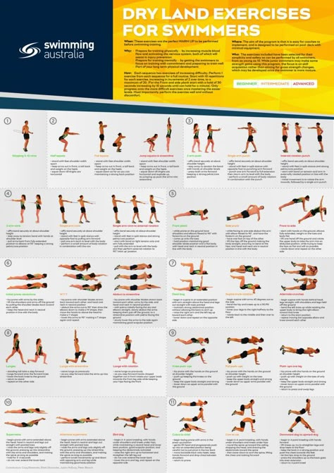 Swimming Dry Land Workouts, Land Workouts For Swimmers, Swimming Gym Workout, Exercises For Swimmers Dryland, Swimming Program Beginner, Land Training For Swimmers, Gym Workout For Swimmers, Swim Gym Workout, Swimming Dryland Workout Exercises