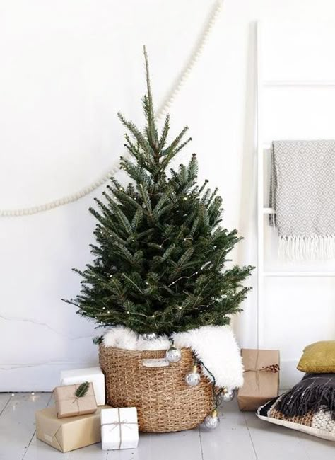 Árvore de Natal minimalista (Foto: Pinterest/ Reprodução) Minimalista O verdinho decorado com um cordão de pisca-pisca pode ser o suficiente para embalar a casa no estilo de Natal. Em um modelo minimalista, podemos até dizer que essa árvore tem uma pegada escandinava. Para dar um charme, decore com objetos de acabamento natural, como o cesto que acomoda o pinheiro. Navidad Natural, Scandinavian Christmas Trees, Tiny Christmas Trees, Boho Christmas Decor, Small Christmas Tree, Minimal Christmas, Simple Christmas Decor, Christmas Decor Inspiration, Simple Christmas Tree