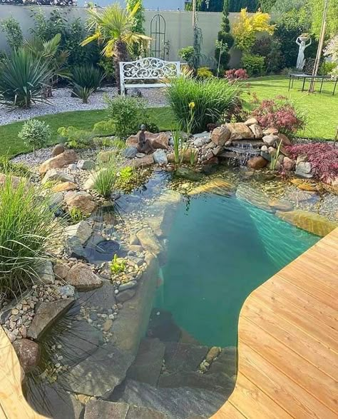 Small Swimming Pond, Pool Ponds Backyard, Natural Pools Backyard Swimming Ponds Water Garden, Natural Swimming Pools Backyard, Eco Pools Natural Swimming Ponds, Pond Pools Backyard, Swimmable Pond, Swimming Ponds Backyard, Diy Natural Pool