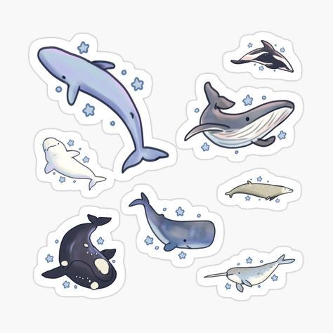 Get my art printed on awesome products. Support me at Redbubble #RBandME: https://www.redbubble.com/i/sticker/Cute-Whales-pack-by-Artofmayara/164695145.EJUG5?asc=u Cute Animal Doodles, Whale Species, Blue Whales, Cute Whale, Scrapbook Template, Sperm Whale, Cute Whales, Beluga Whale, Animal Doodles