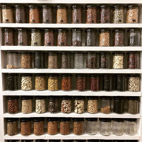 Hodmedod's UK Pulses & Grains on Instagram: “Preparing a ‘Seed Bank’ for the PX+ festival this weekend. Isn’t crop genetic diversity a beautiful thing?! 💚💚🌱🌱 Of the tens - if not…” Seedy Bar Aesthetic, Nut And Seed Storage, Seed Bank Storage, Bank Aesthetic, Seed Pods Photography, Genetic Diversity, Seed Bank, Seed Saving, Genetic