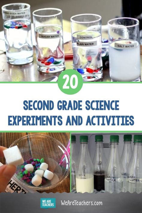 20 Simple and Fun Second Grade Science Experiments and Activities. Give second grade science students some hands-on experience with earth science, states and properties of matter, plant and animal life cycles, and more. #secondgrade #science #activities #STEM #STEAM #teaching 2nd Grade Science Experiments, Worksheet For 2nd Grade, Underwater Volcano, 2nd Grade Science, Science Experiments Kids Elementary, Grade 2 Science, Earth Science Activities, Soap Foam, 2nd Grade Activities