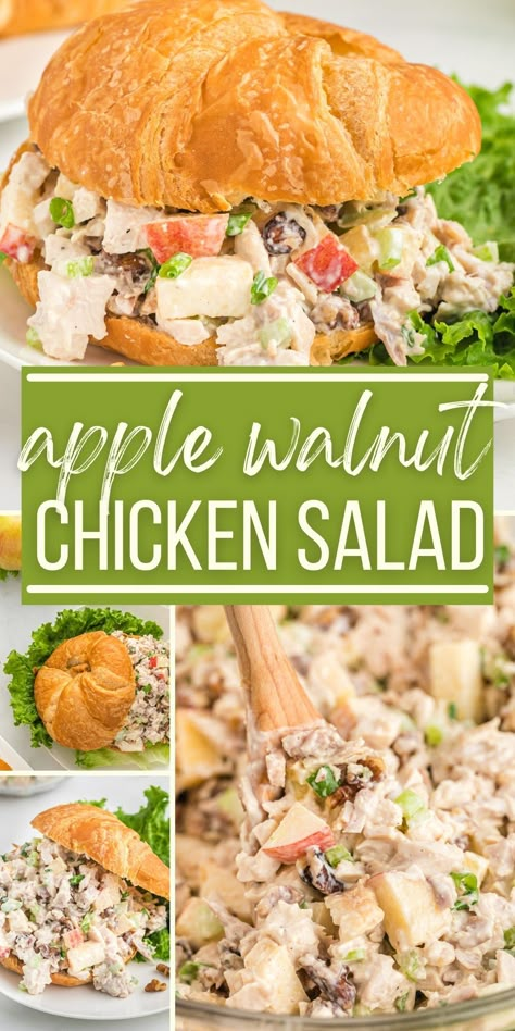 Chicken Salad Recipe With Walnuts And Apples, Chicken Walnut Salad Sandwich, Apple Chicken Salad Sandwich, Curry Chicken Salad With Apples, Chicken Salad With Apples And Celery, Paradise Bakery Chicken Walnut Salad, Chicken Salad With Apples Recipe, Chicken Apple Walnut Salad Recipe, Green Apple Chicken Salad