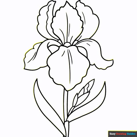 Iris Flower Coloring Page | Easy Drawing Guides Iris Simple Drawing, Iris Flower Stencil, Iris Coloring Page, Iris Flower Outline, Iris Flower Drawing Simple, Iris Flowers Drawing Easy, Iris Drawing Simple, Draw Iris Flower, Iris Drawing Flower