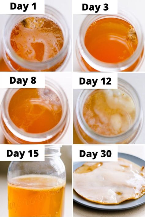 How to Make Kombucha Scoby - iFOODreal.com Scoby Recipe How To Make, Homemade Kombucha Scoby, Make Your Own Scoby, How To Make Kombucha Scoby, Kombucha Recipe Scoby, Diy Kombucha How To Make, How To Make Scoobies, How To Make A Scoby For Kombucha, How To Make A Scoby