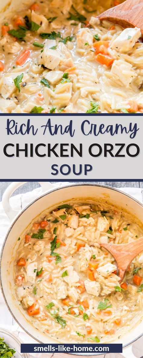 Creamy Chicken Orzo Soup, Creamy Chicken Orzo, Chicken Leftovers, Frozen Dinner, Orzo Soup, Chicken Orzo Soup, Chicken Orzo, Carrots Celery, Orzo Pasta