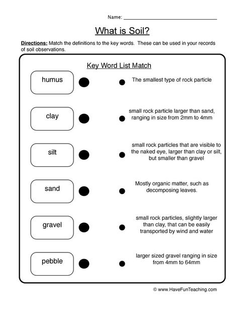 How to teach Rocks Using this Soil Matching Worksheet, students match the definitions to the key words. Soil is needed … Continue Reading » Soil Worksheets For Grade 2, Soil Worksheet, 4th Grade Science Experiments, Geology Drawing, Farm Anatomy, Garden Unit Study, Motivational Bulletin Boards, Ag Classroom, Summative Test