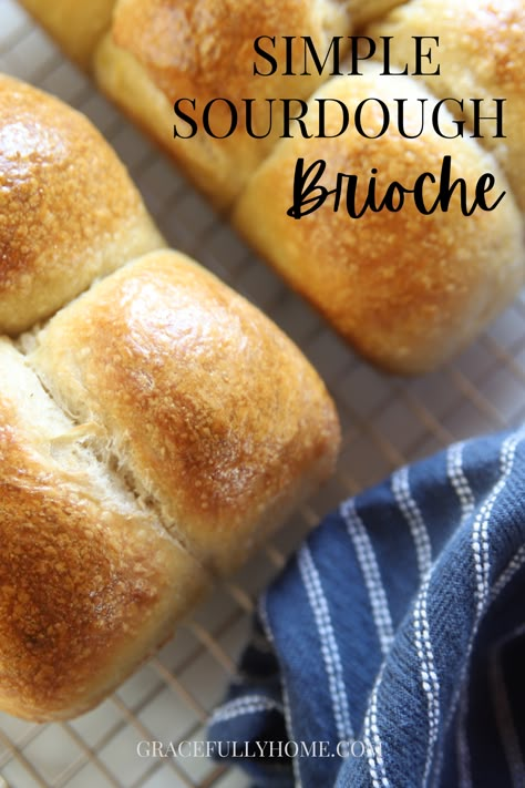 Sourdough Brioche Bread Recipe, Brioche Sourdough Recipe, Sourdough Brioche Rolls, Sourdough Brioche Buns, Sourdough Brioche Bread, Easy Brioche Bread Recipe, Bagel Balls, Sourdough Goodies, Sourdough Brioche