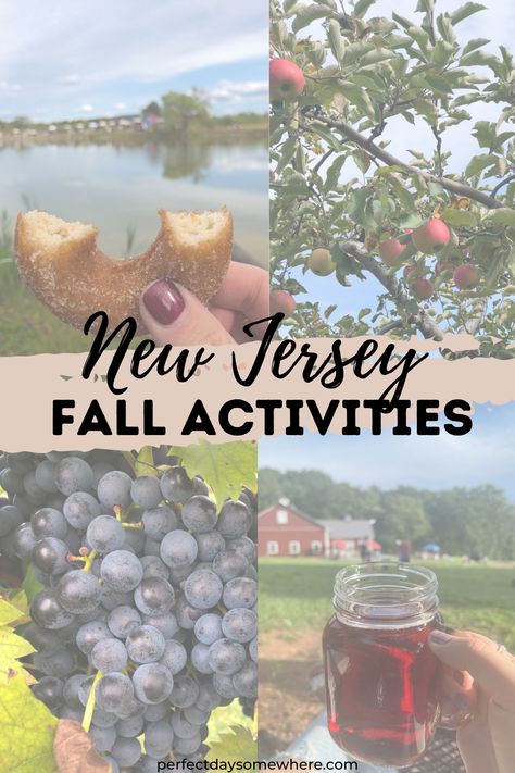 New Jersey Fall is truly the perfect season. If you're looking for things to do like apple picking farms, cider mills, wineries, Octoberfest locations or other cool spots, you found the right place. Perfect Day Somewhere gives you the best fall activities in New Jersey! #newjerseyfall #fallthingstodo #newjerseyactivities Nj Fall Activities, Fall In New Jersey, New Jersey Things To Do, Things To Do In New Jersey, Fall Activities For Adults, New Jersey Fall, New Jersey Travel, Fall Foliage Trips, November Activities