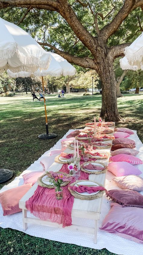 Our picnics are perfect for every celebration - birthdays, baby showers, engagement parties and more! Book with us today! | Instagram Party Themes 25th Birthday, Picnic Set Up Birthday, Summer Picnic Party Ideas, Outside Birthday Picnic, Outside Picnic Party, Cute Picnic Party, Simple Birthday Picnic, Picnic For Birthday, Birthday Picnic Ideas Decorations