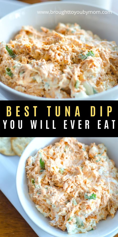 Spicy Tuna Dip Recipes, Ahi Tuna Dip, Tuna Fish Dip Recipes, Fresh Smoked Tuna Dip Recipe, Tuna Dip Healthy, Tuna Cracker Dip, Canned Tuna Appetizer, Tuna On Crackers, Smoked Tuna Dip Recipe Easy